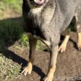 Фото 3
