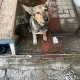 Фото 3
