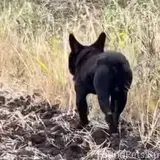 Фото 1