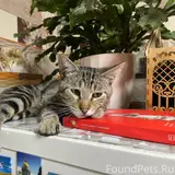 Фото 1