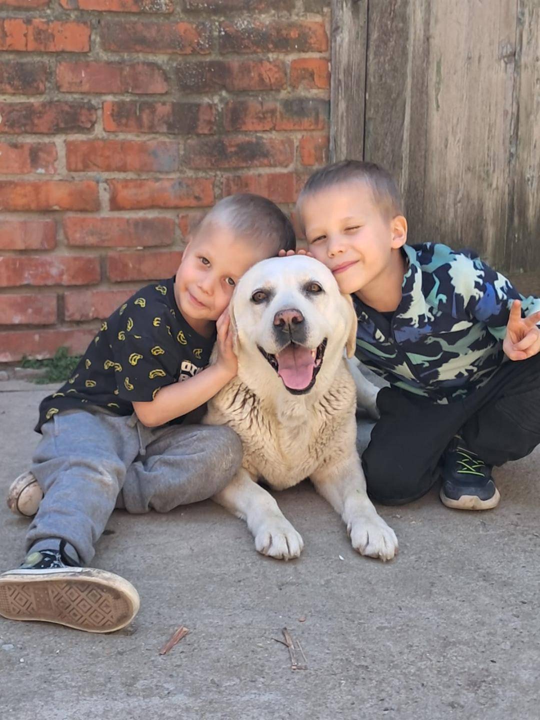 ПРОПАЛА СОБАКА — Кличка Циля О...