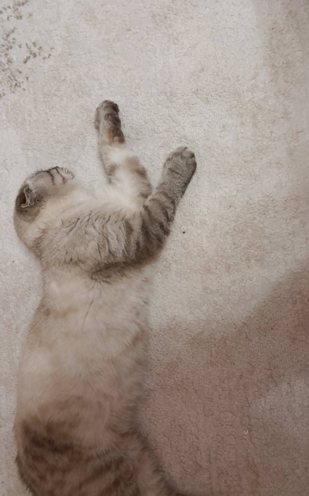 Сегодня в районе 18:00 найден....