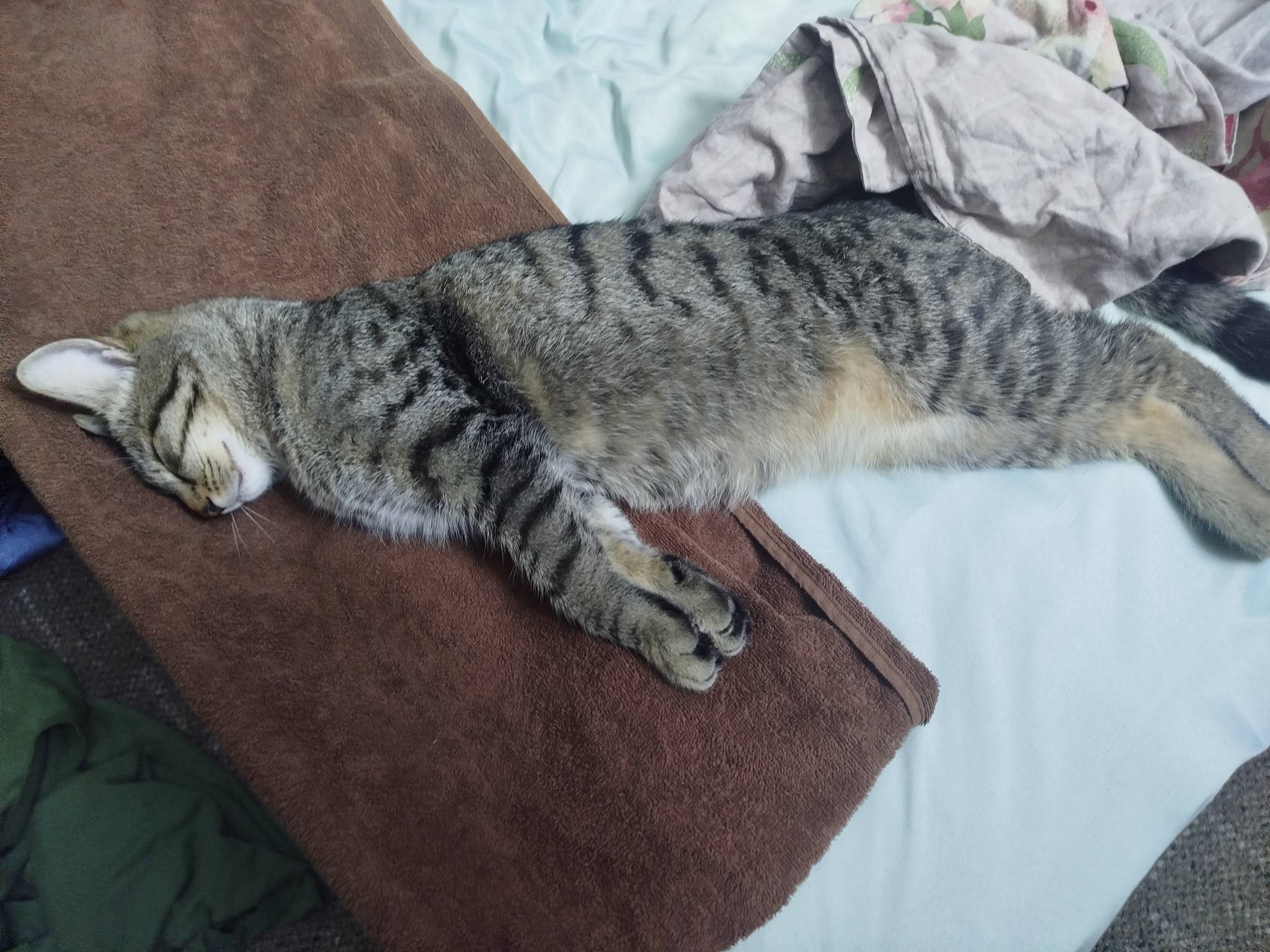 Конечно прошло много времени, ...