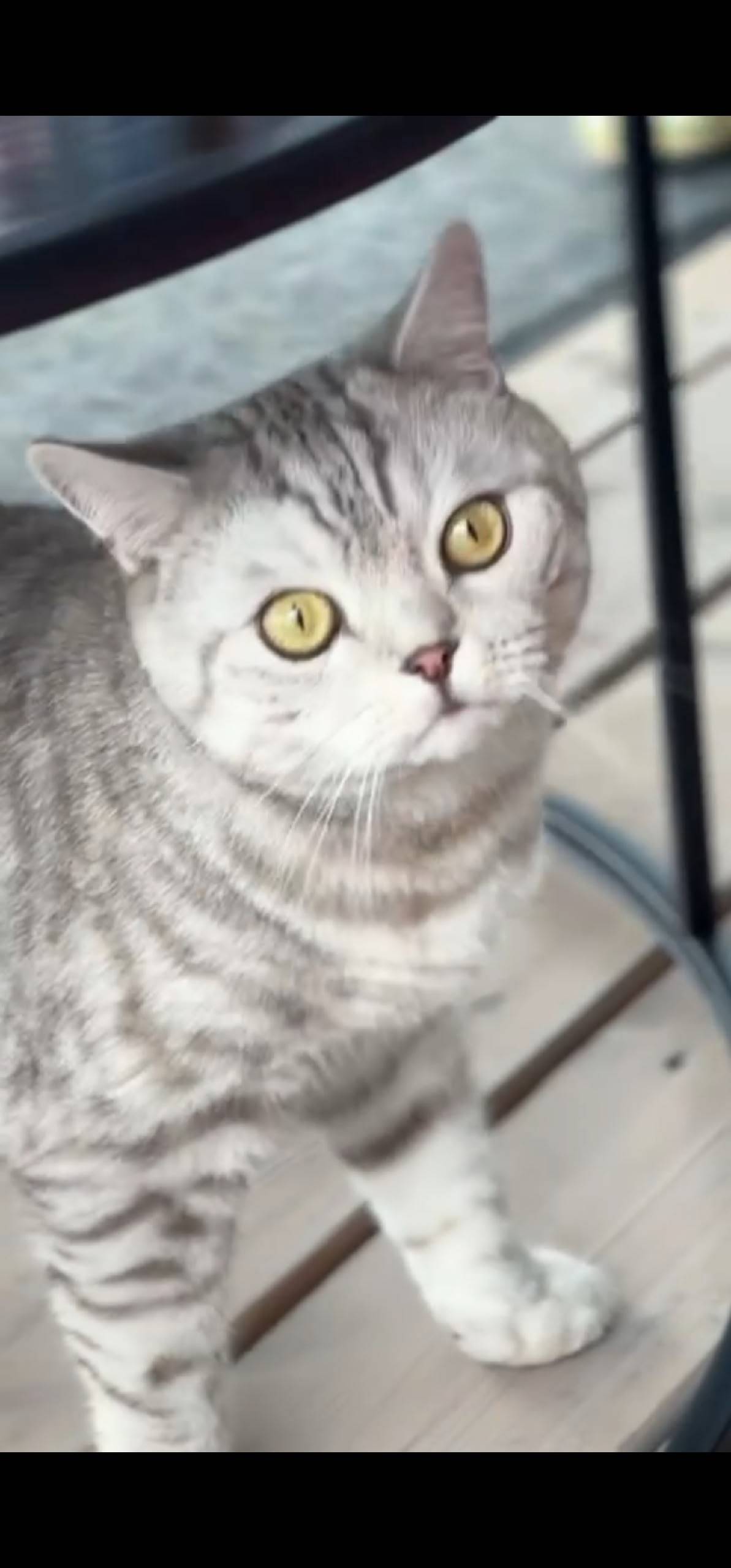 #пропало МО Коломна. Пропал ко...