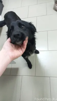 Помогаем информационно!!! Чей ...