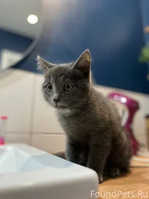 Срочно ‼️ Ищем старых или новы...