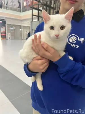 Новочебоксарск Скуби и Валли м...