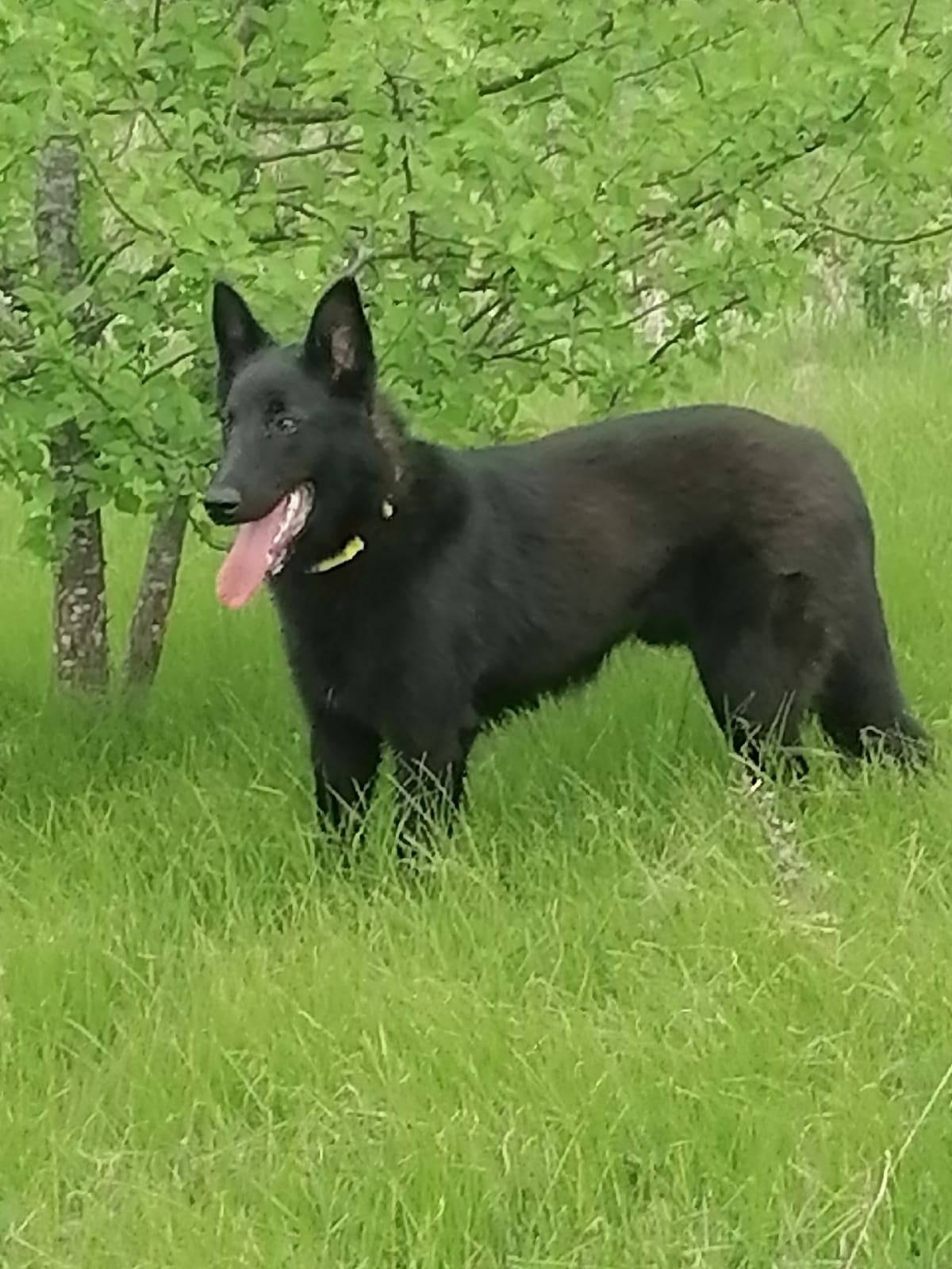 Здравствуйте. Прошу помощи в п...