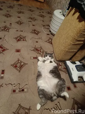 🆘🆘🆘По просьбе знакомых!!! ПРОП...