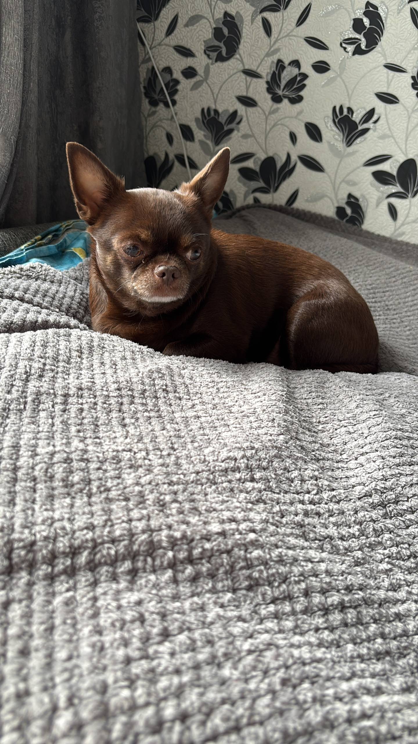 В районе Детского мира от испу...