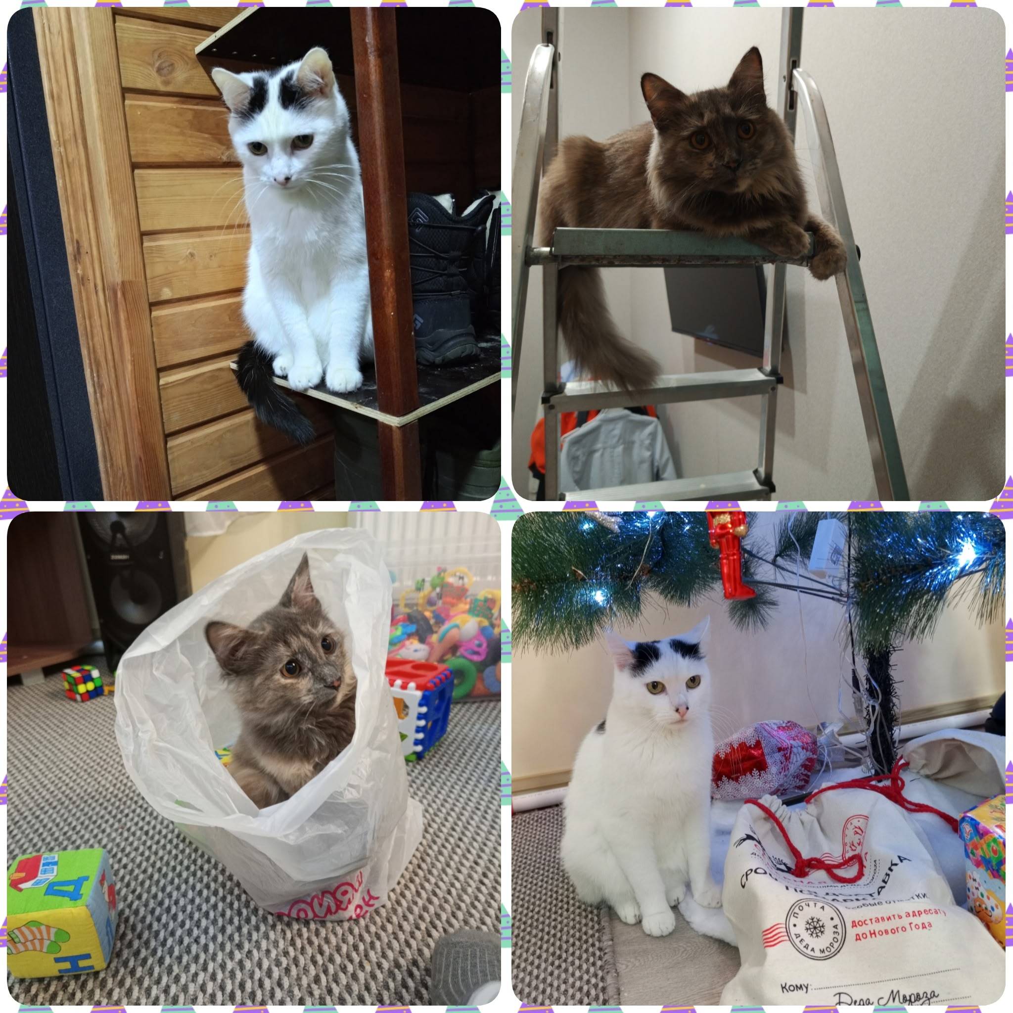 ❗❗❗Не теряем надежды найти❗❗❗ ...