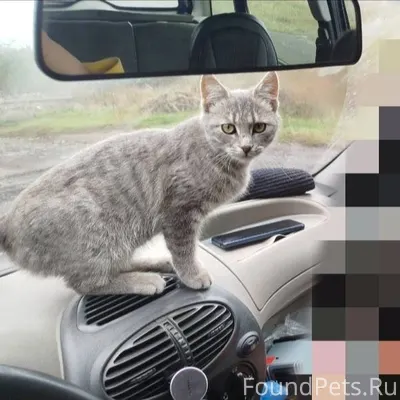 Здравствуйте. 10.11.2025 г. Пр...