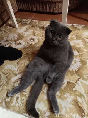 Доброе утро. 10.11 пропал наш....