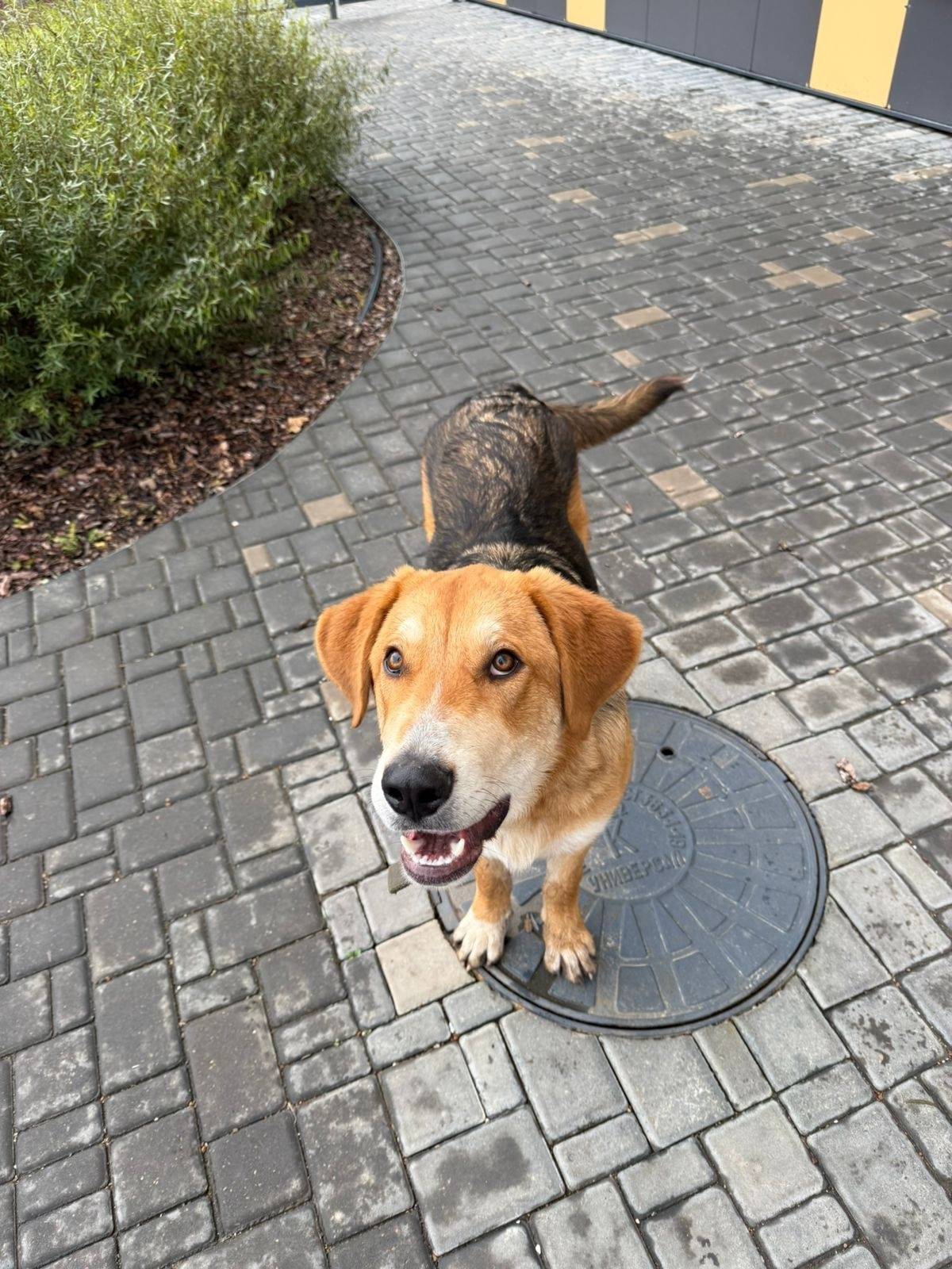 Мы в ответе за тех кого...