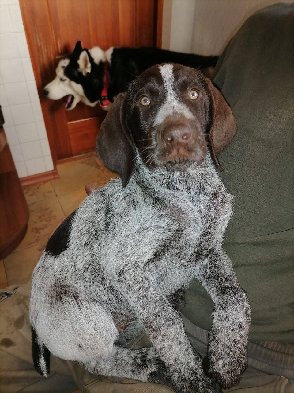 Добрый день! 13 ноября у моего...