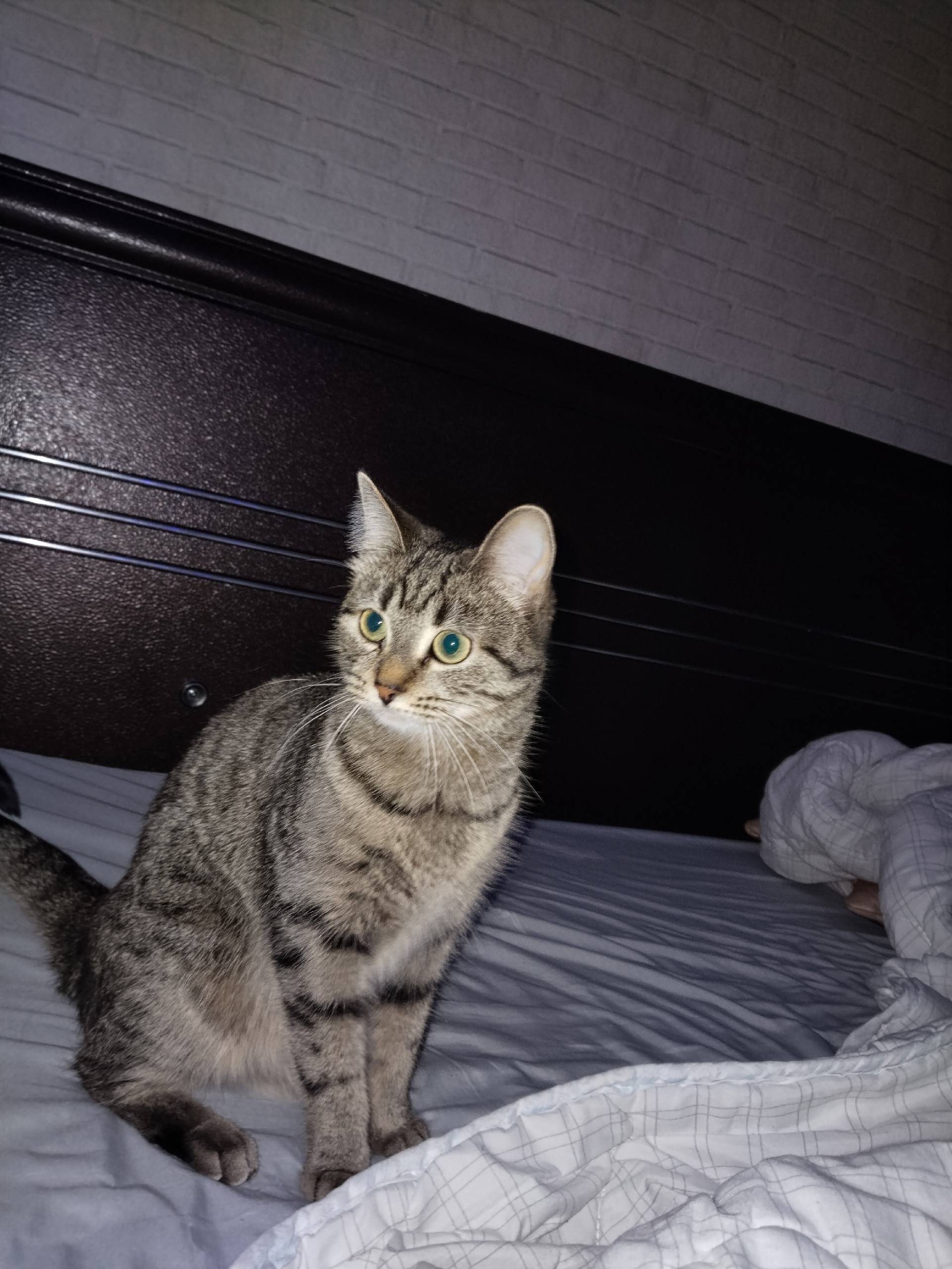 12.11.2025г. ночью, в районе.....