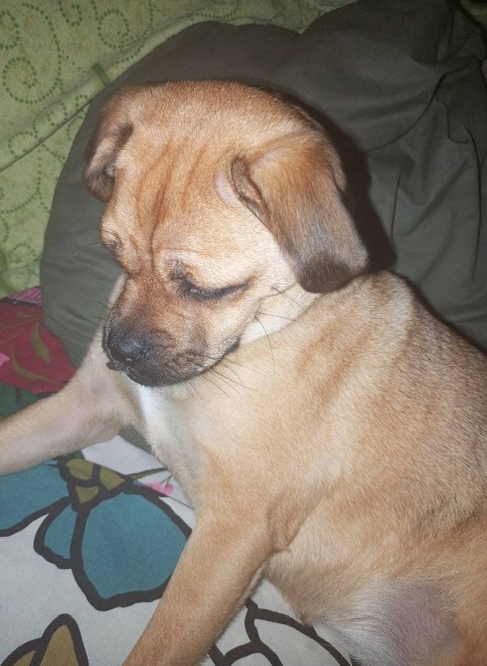 Внимание!!! Репост !!!🆘🆘🆘 В ра...