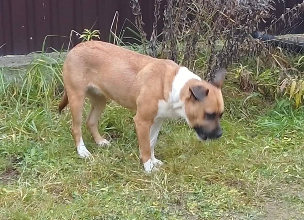 Друзья, история с замеченной 6...