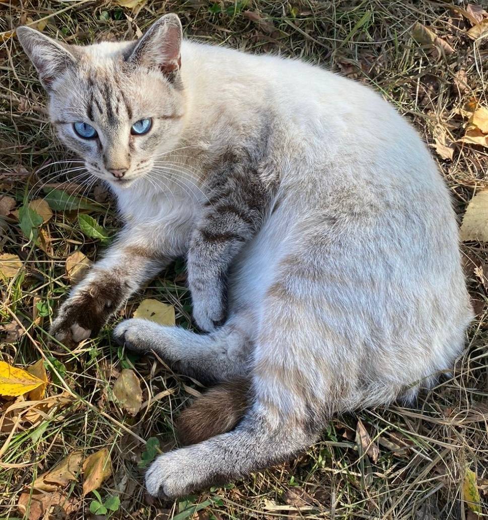 Пропал 2 месяца назад и до...
