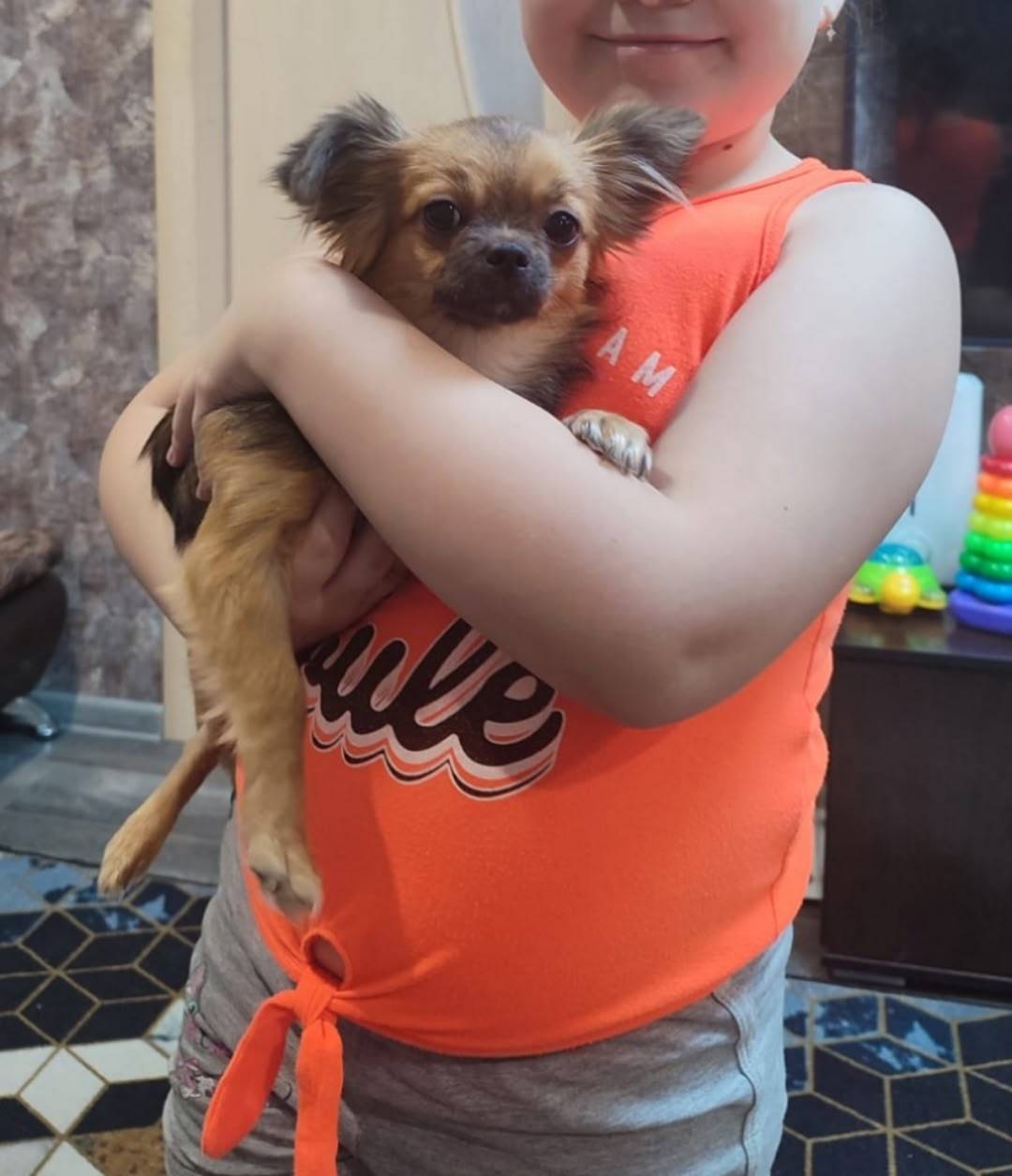 Пропала собака, район 40 лет о...