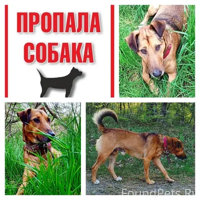 ‼️‼️‼️ПОМОГИТЕ НАЙТИ‼️‼️‼️ Мес...