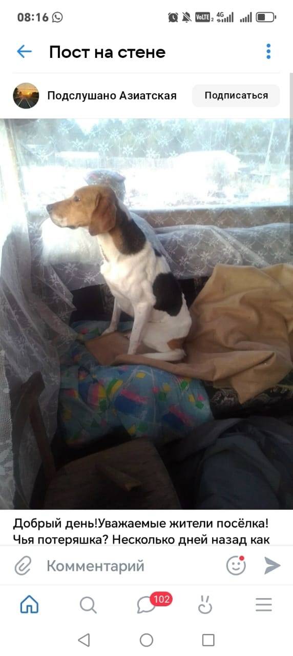 В городе Кушва на участке 308....