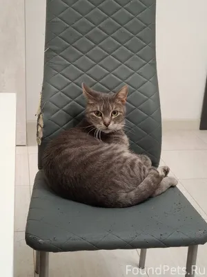 Ставрополь 12.11.2025г. На рай...