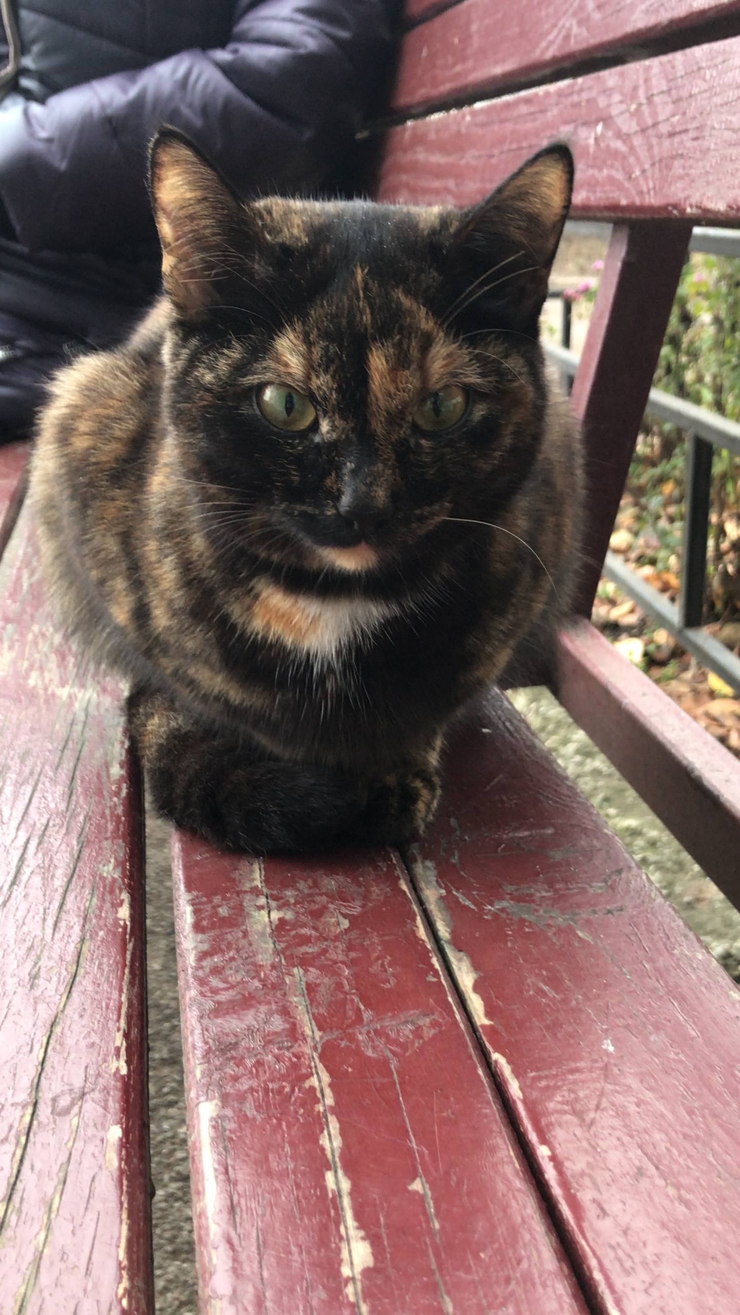 Сегодня, 14.11.2025 во двор...