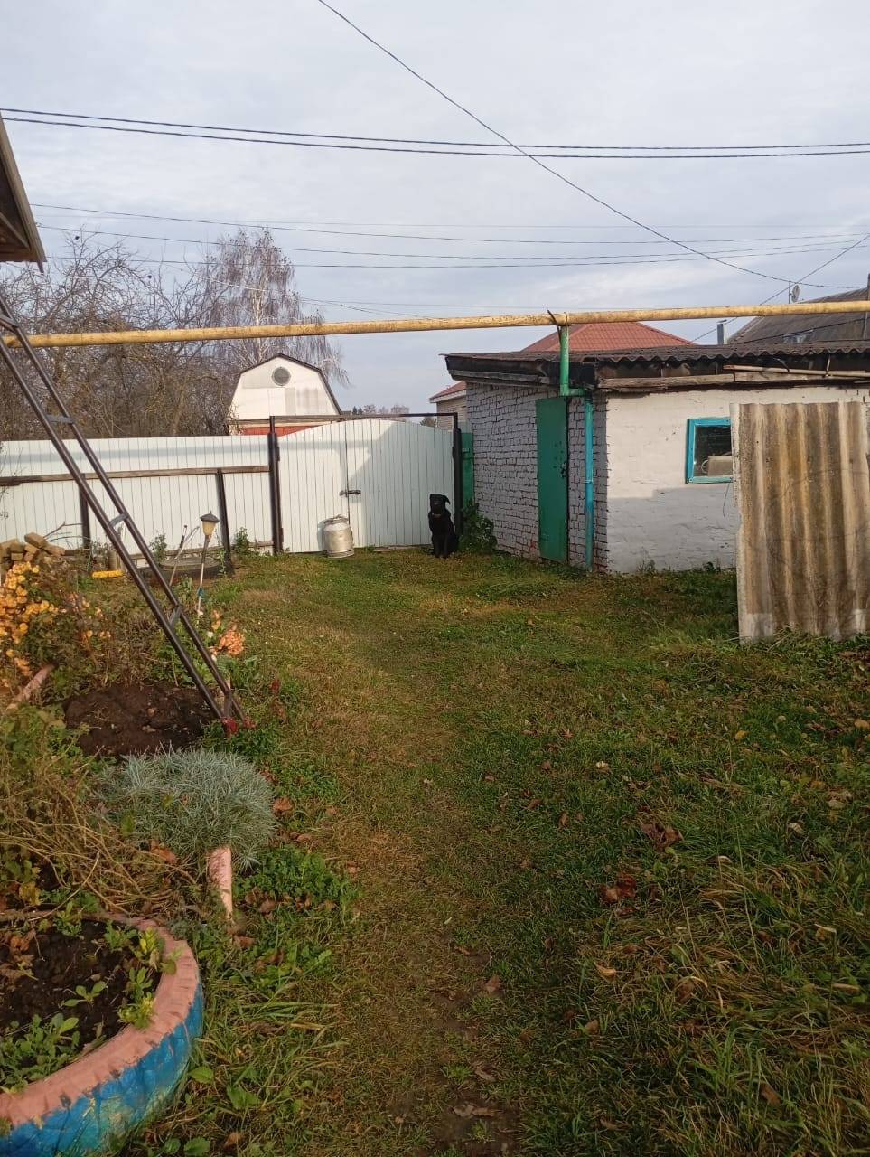 Здравствуйте!!! Убедительная п...