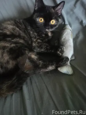 Добрый вечер. Не совсем по тем...