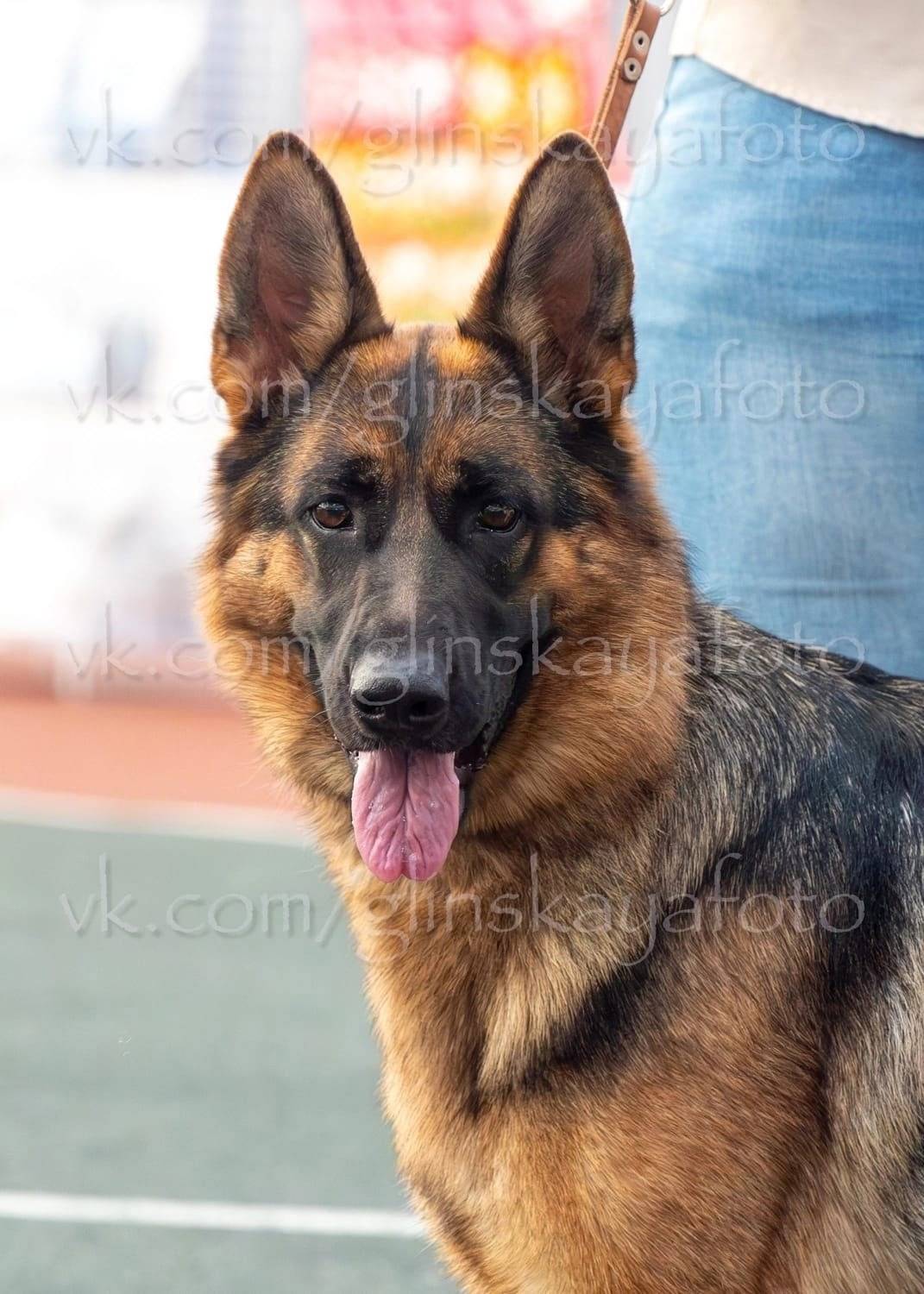 Сегодня вечером убежала со дво...