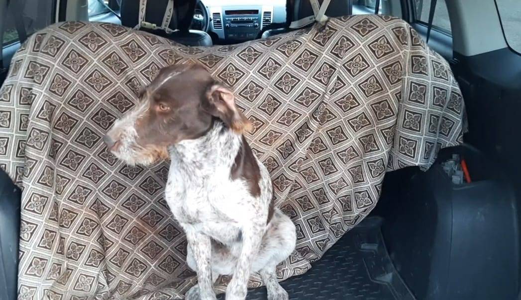 ВНИМАНИЕ❗❗❗ В районе частного ...