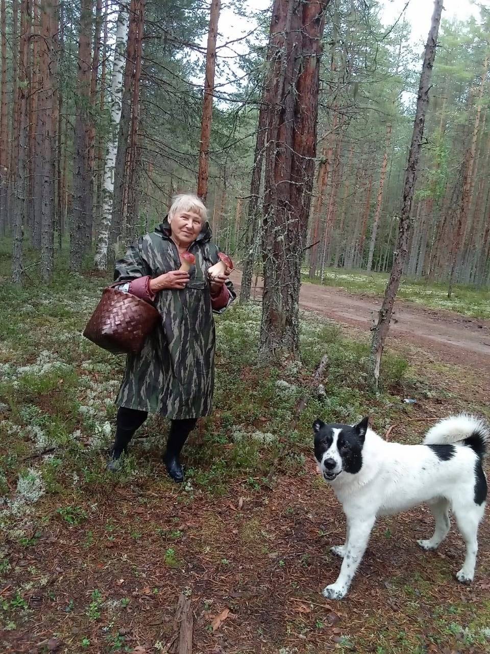 По просьбе, разместите, пожалу...