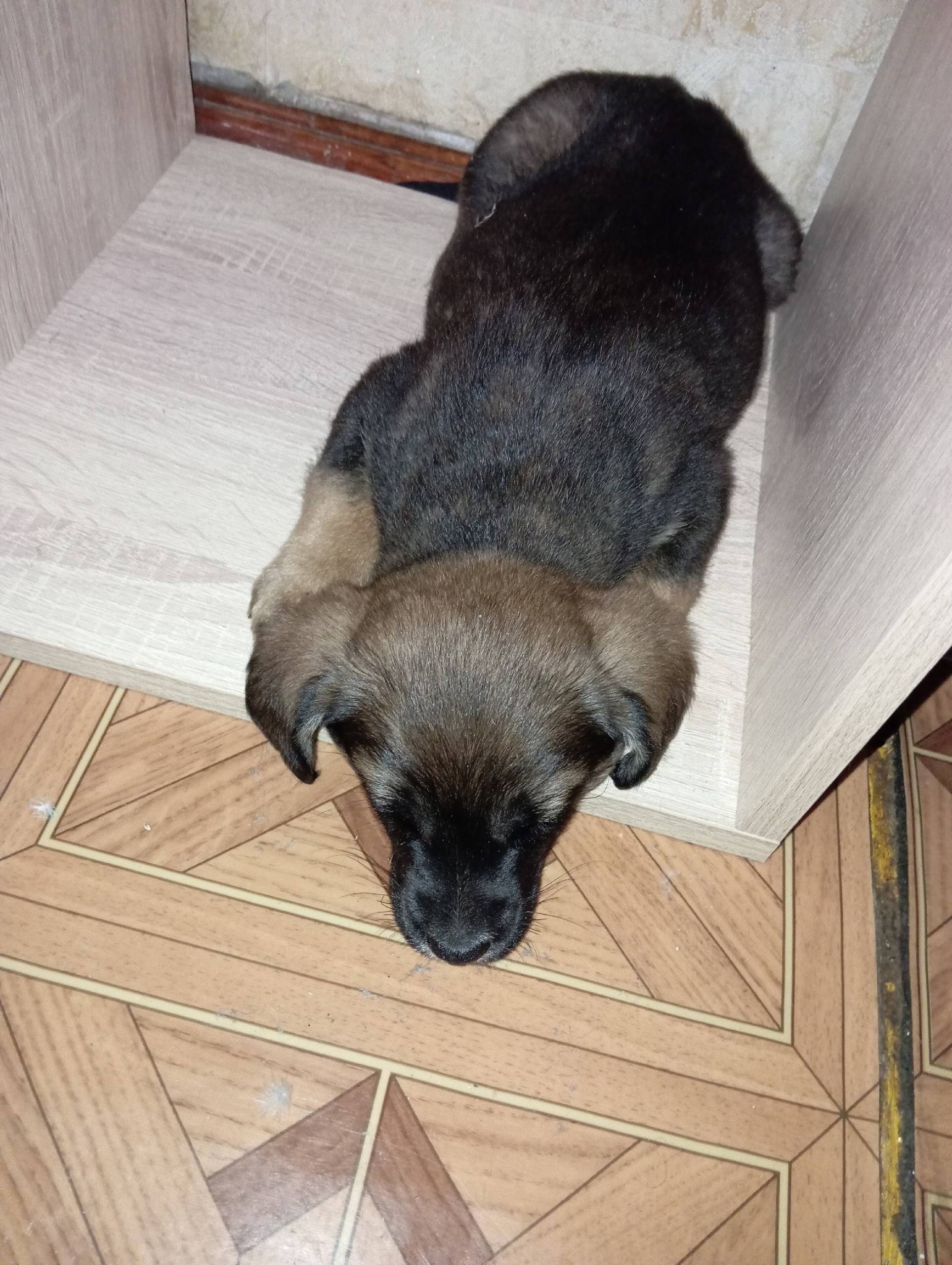 Здравствуйте, дорогие земляки....