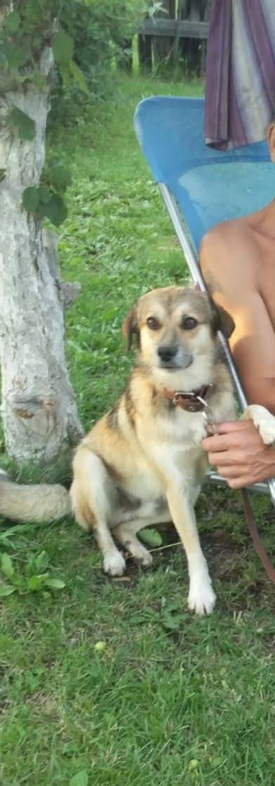 В районе Ленинградский 59 поте...