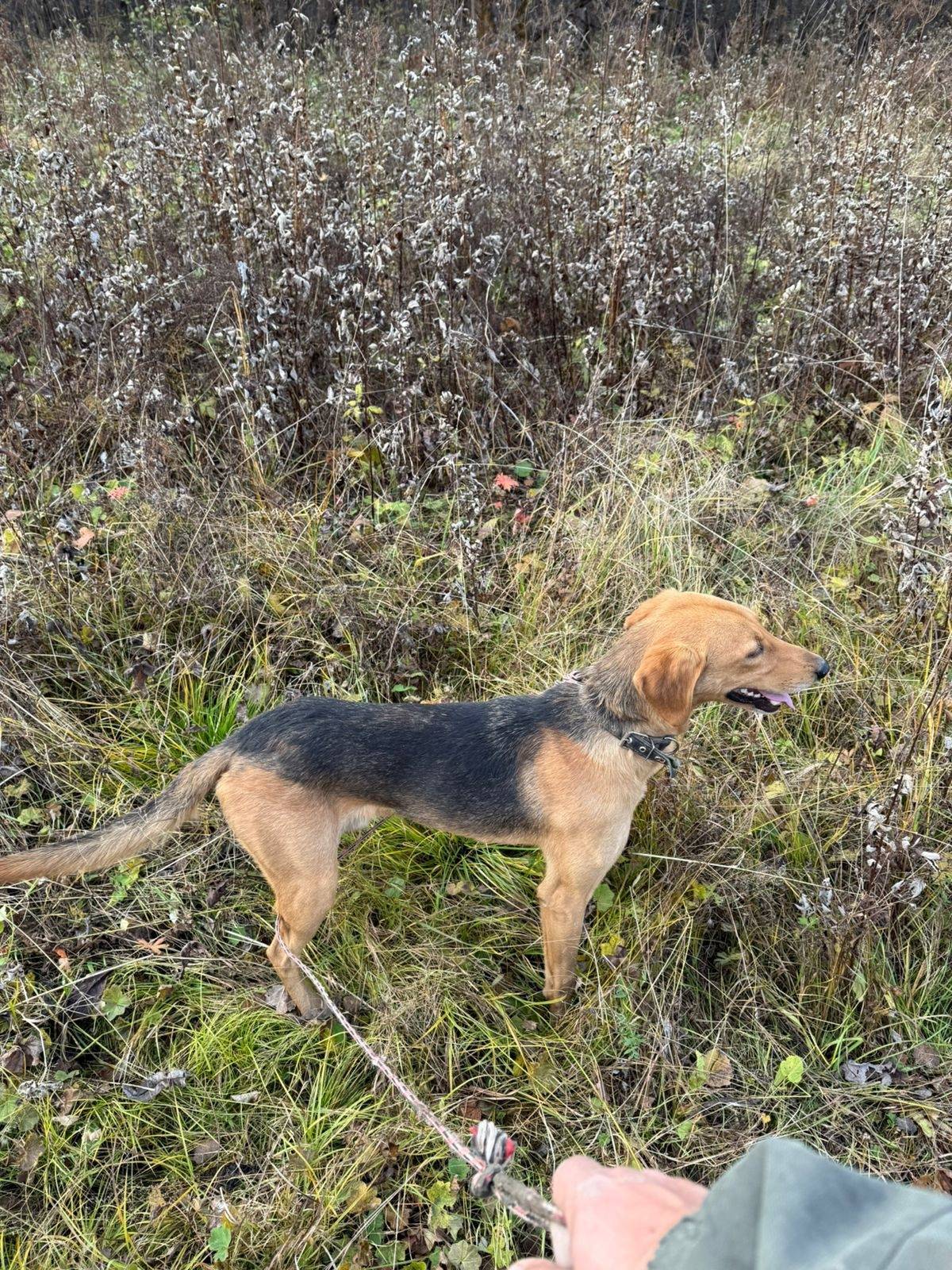 Здравствуйте, потерялись две с...