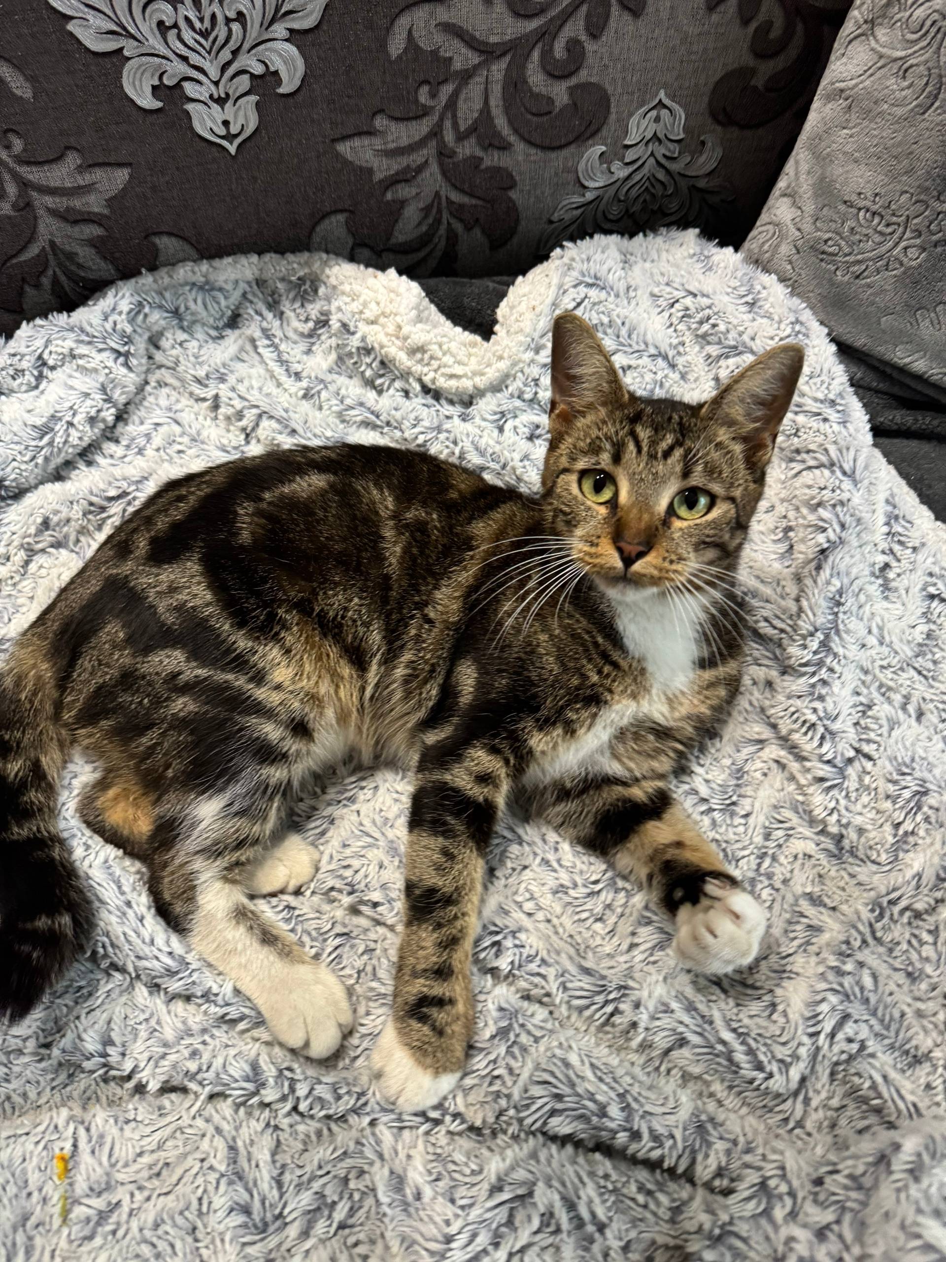 Добрый день! На улице Семёнова...