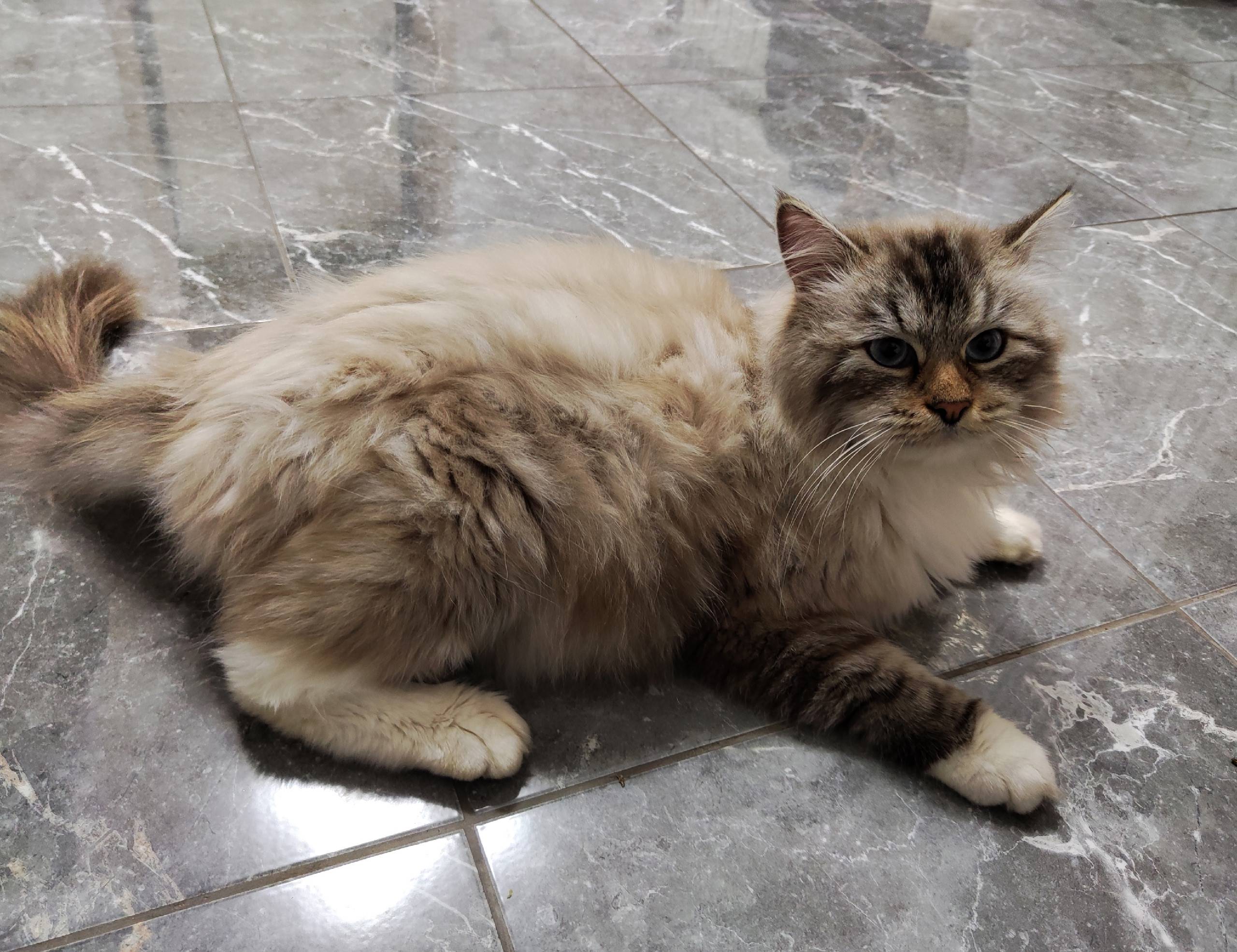 Нашёлся! 🎉 Невероятно,но факт!...