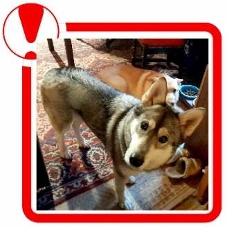 🕊🕊 🔴 Друзья! Нужна ваша помощь...