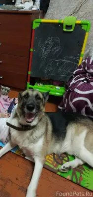 ❗️❗️ПОМОГАЮ ИНФОРМАЦИОННО❗️ 6 ...