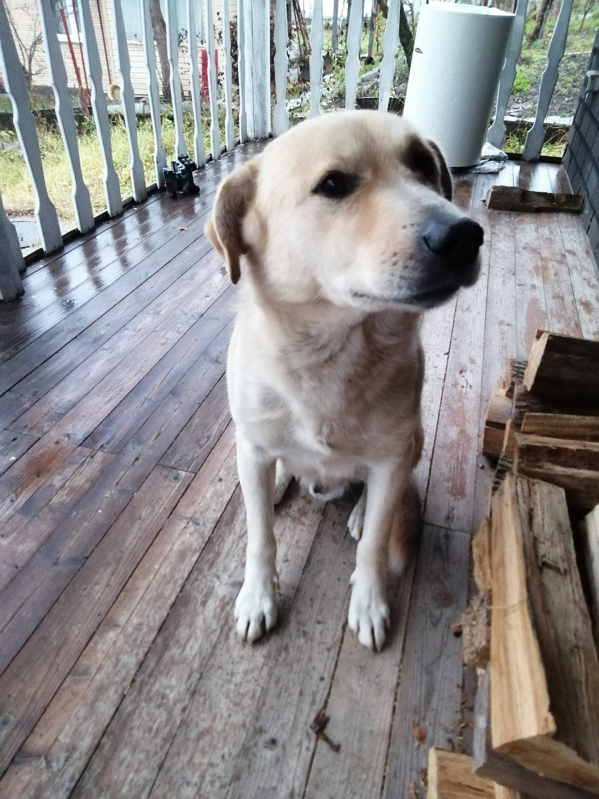 Добрый день! СНТ"Дружба ТТУ" Е...