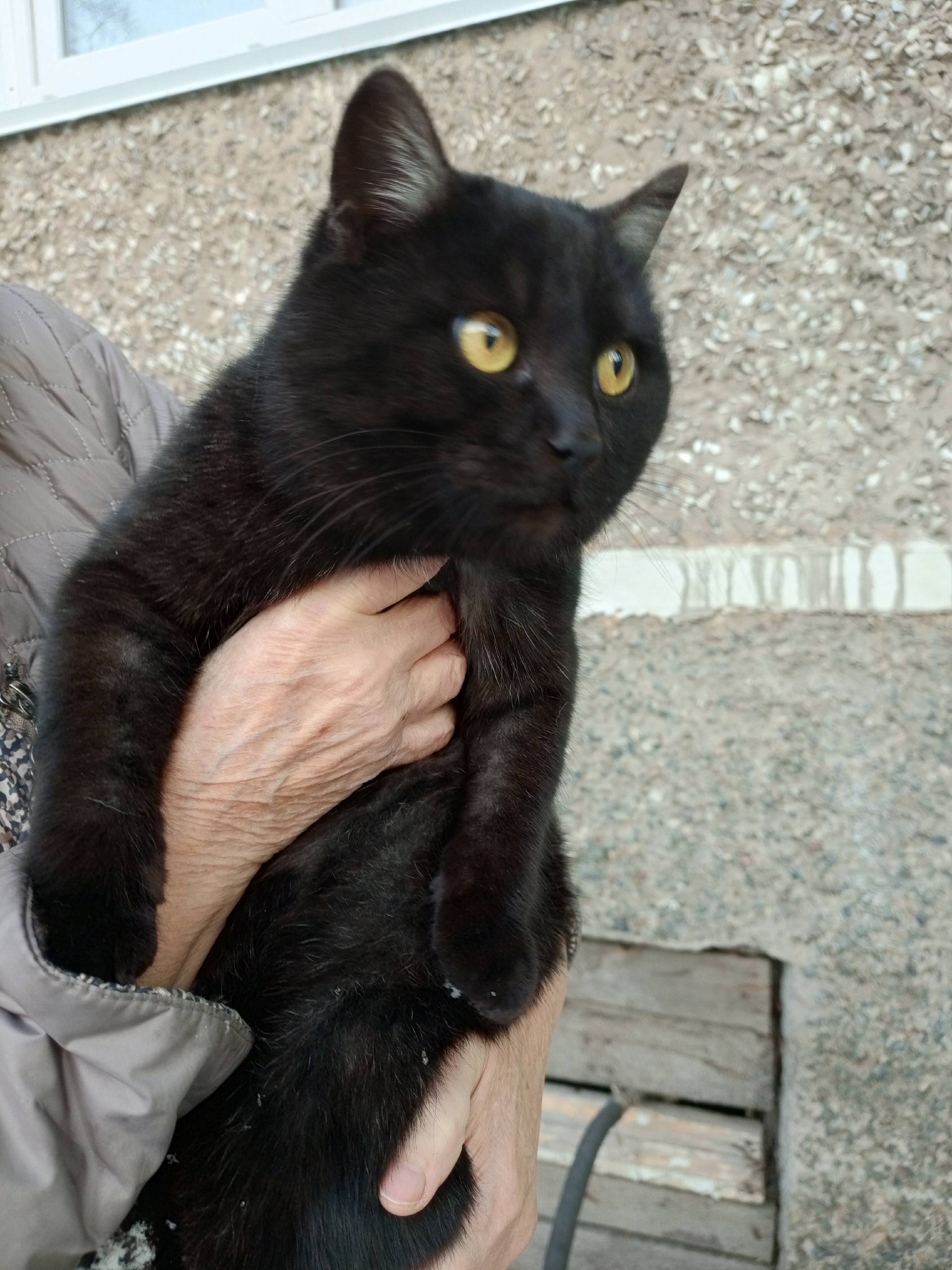 Здравствуйте , опубликуйте, по...