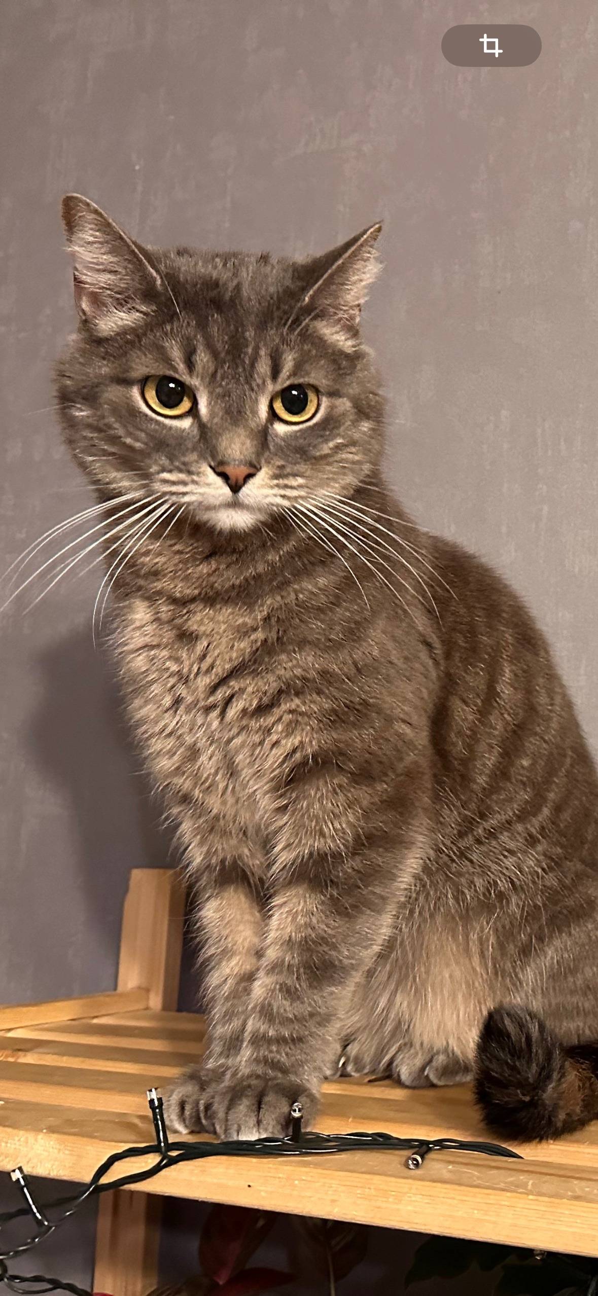 Не теряем надежды найти нашего...