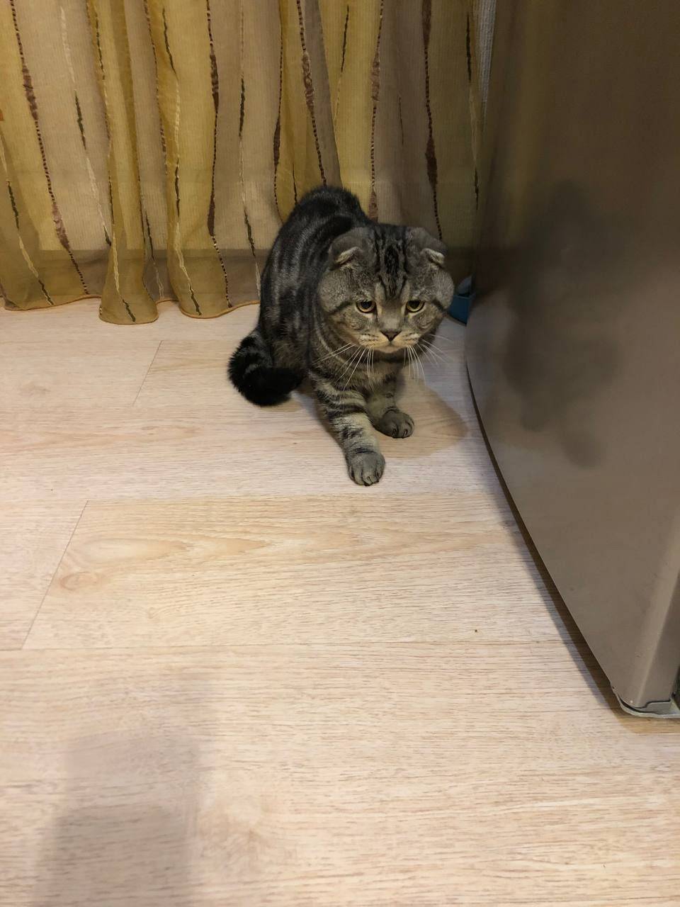 В районе ул. Хвойной найден ко...