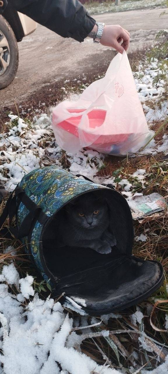 Сегодня сотрудниками полиции, ...