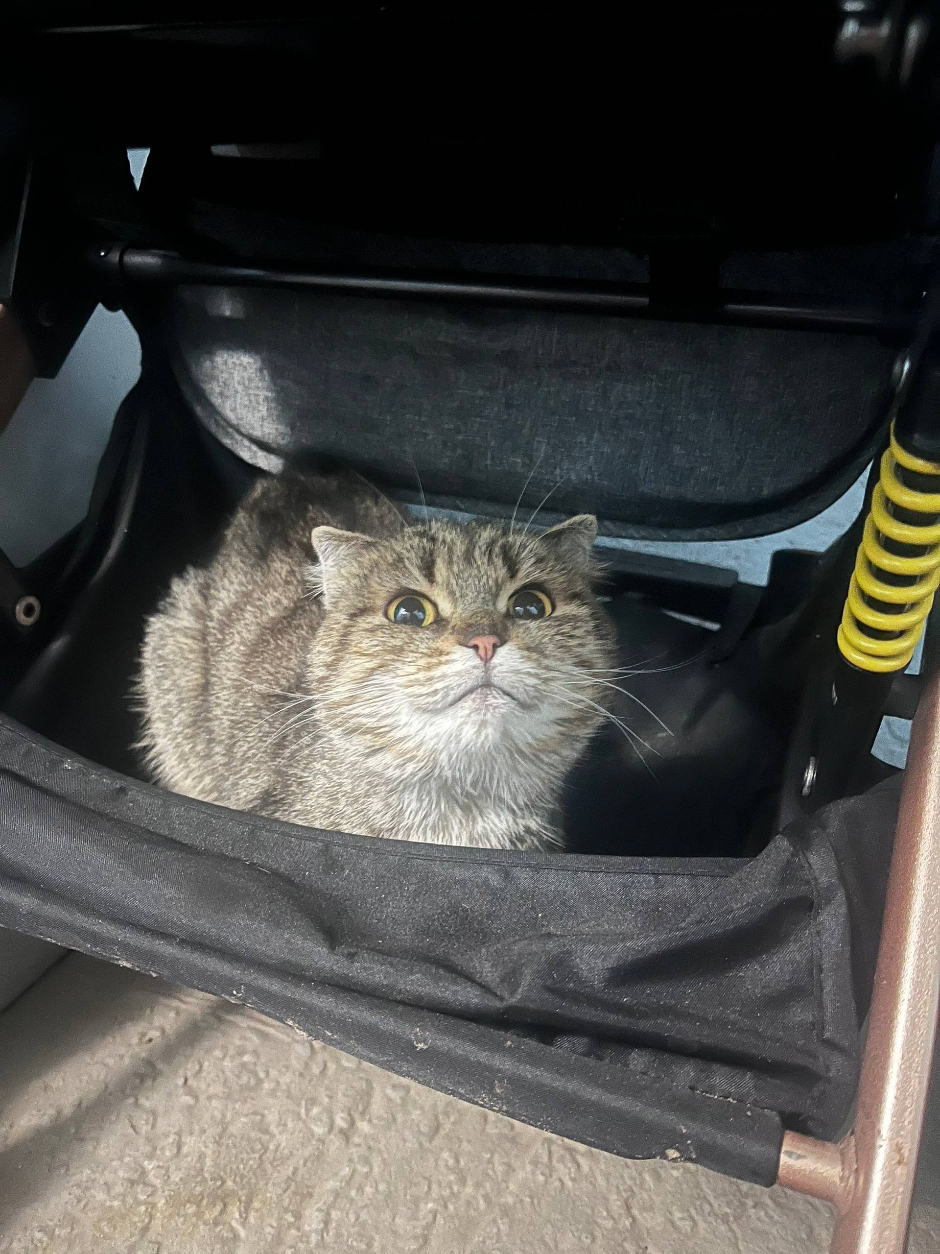 Всем добрый вечер! В дом по...