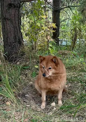 Всем доброго дня! Обращаемся к...