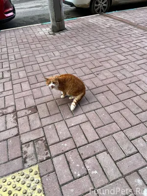 "Бюро находок" (фото 1) Около ...