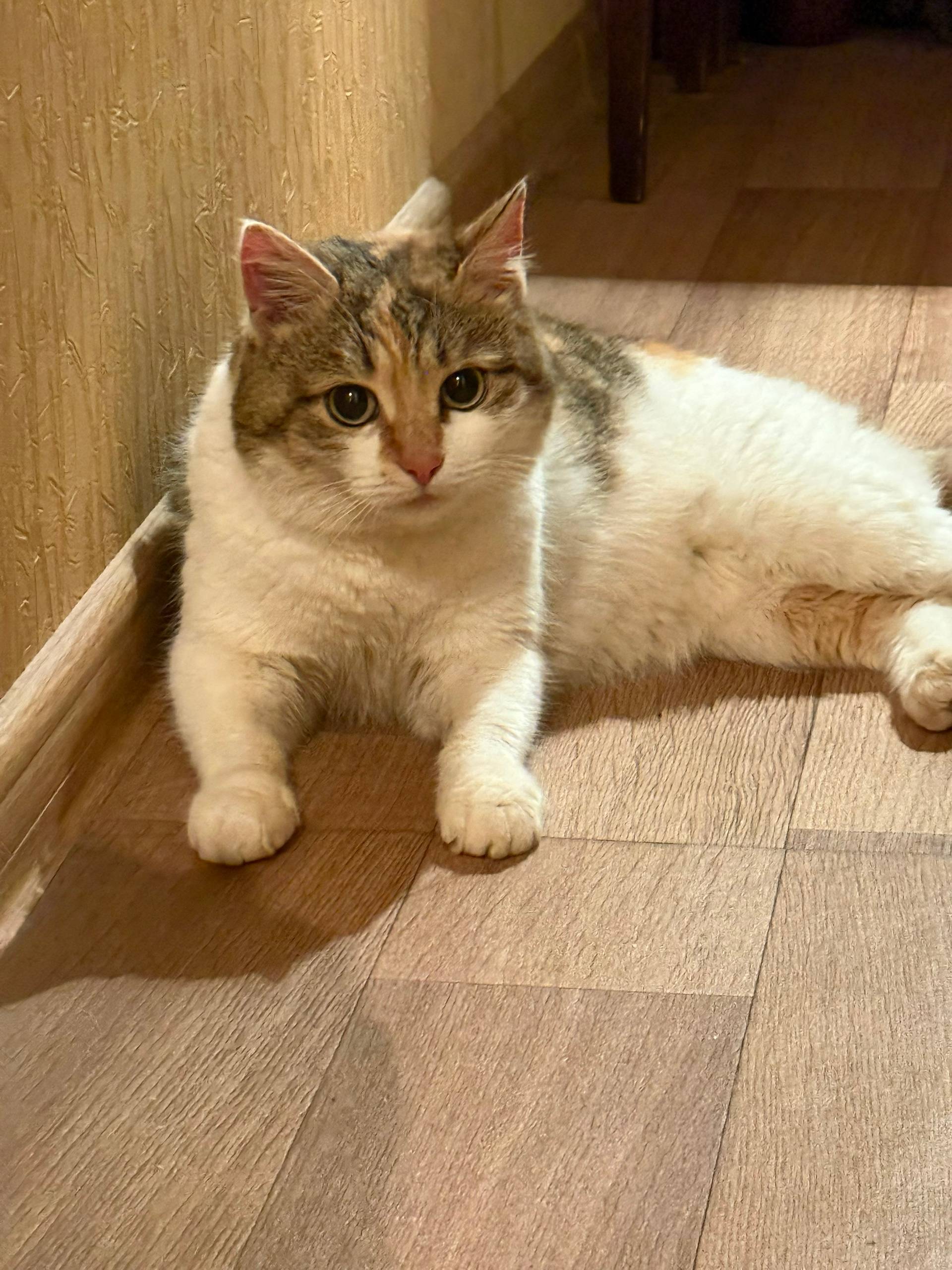 Добрый день! В районе Городско...