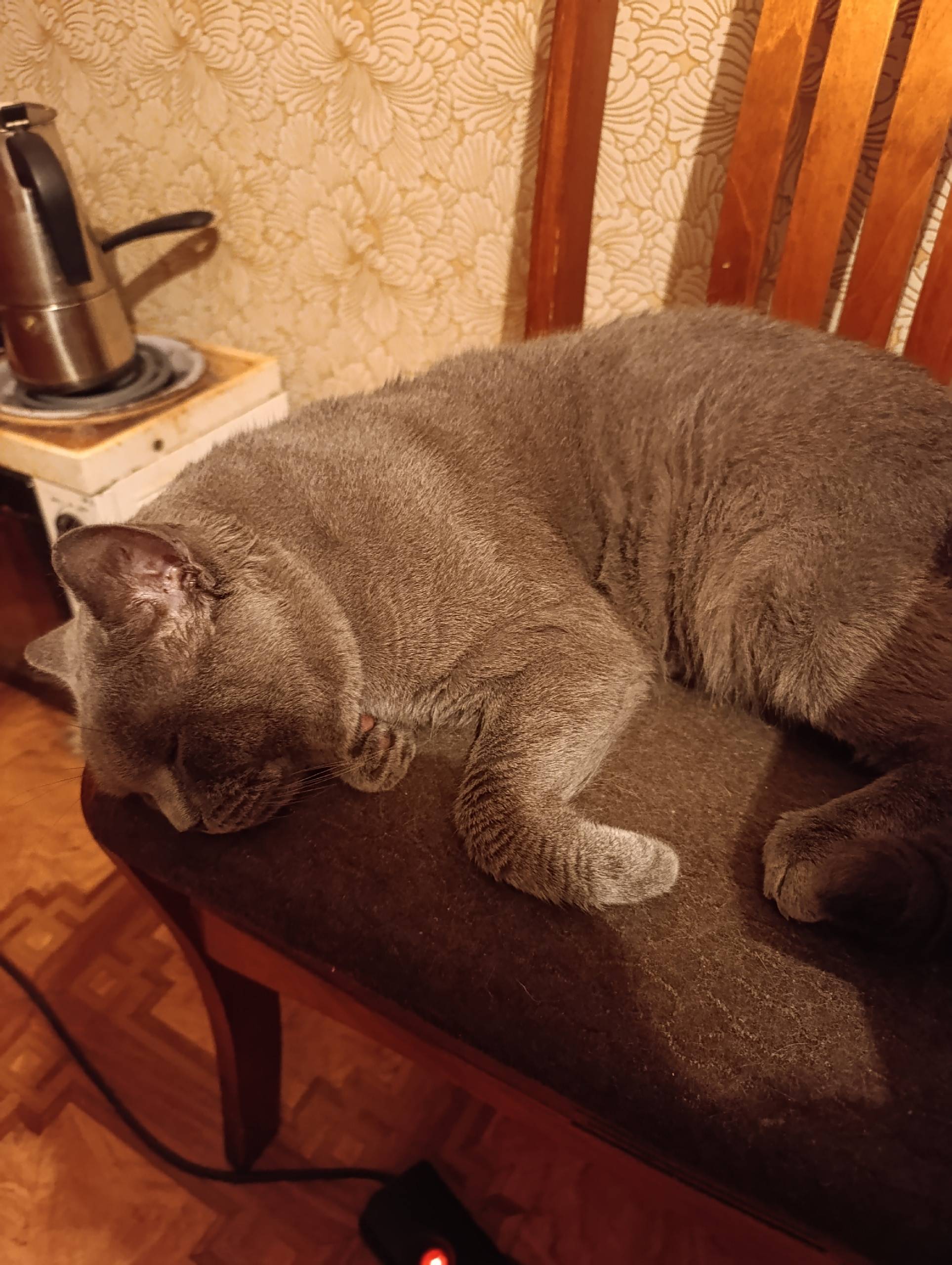 ПОМОГИТЕ ВЕРНУТЬСЯ ДОМОЙ! 17 о...